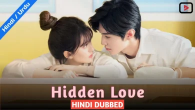 Hidden Love