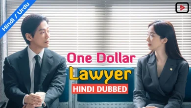 One Dollar Lawyer