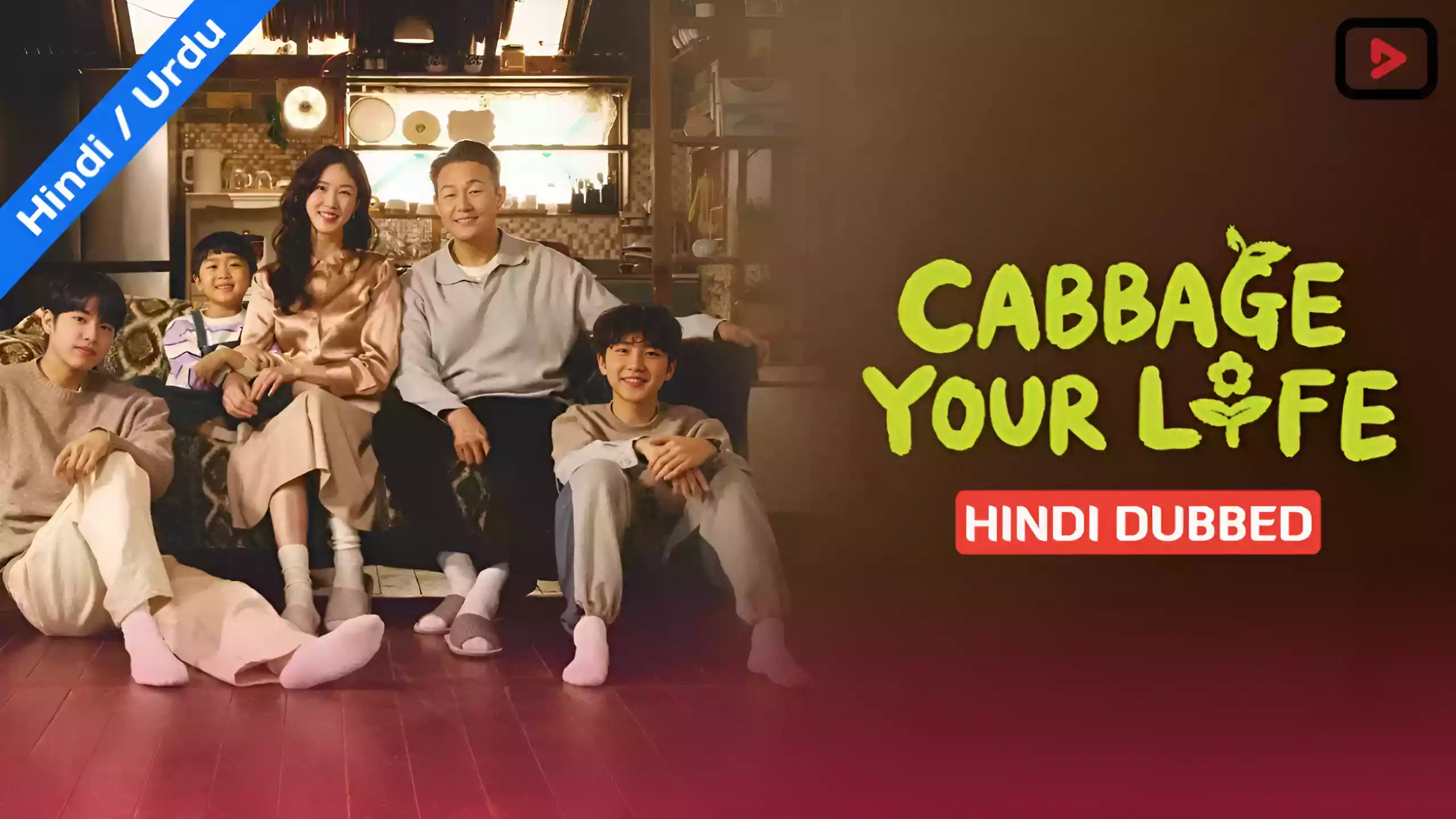 Cabbage Your Life 1