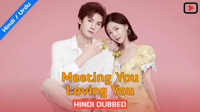 Meeting You Loving You