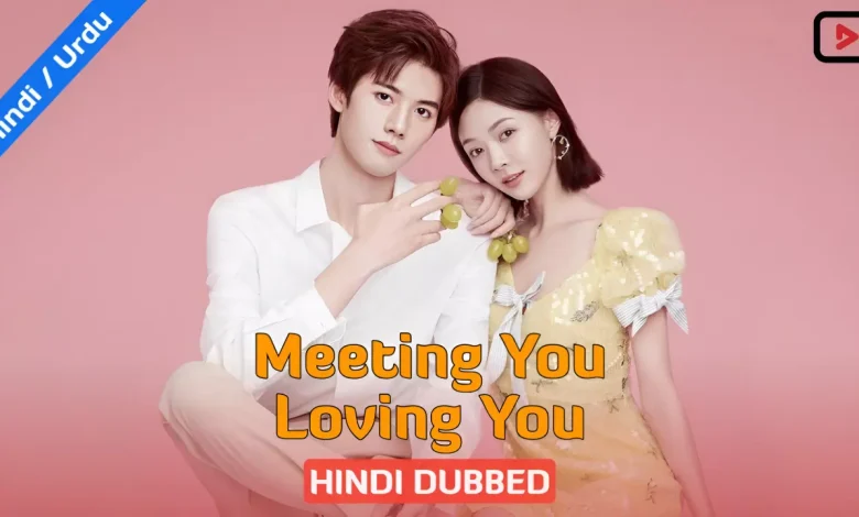 Meeting You Loving You