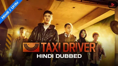 Taxi Driver