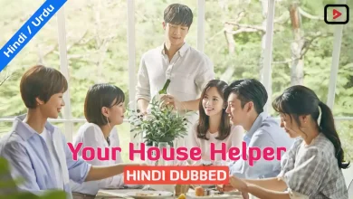 Your House Helper