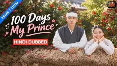 100 Days My Prince